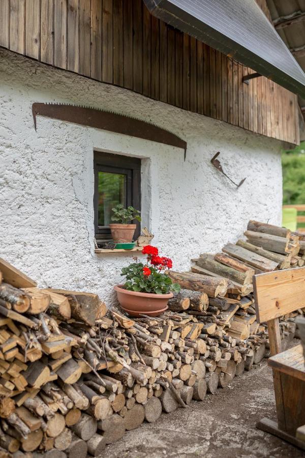 Lizina Hiska House Bohinj Villa Bohinjska Bistrica Exterior photo